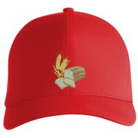Flexfit Delta cap (180) Vignette