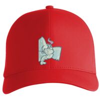 Flexfit Delta cap (180) Vignette