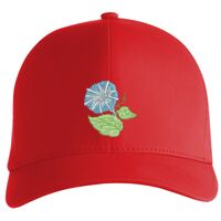 Flexfit Delta cap (180) Vignette