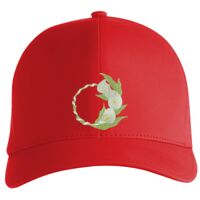 Flexfit Delta cap (180) Vignette