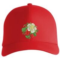 Flexfit Delta cap (180) Vignette