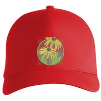 Flexfit Delta cap (180) Vignette