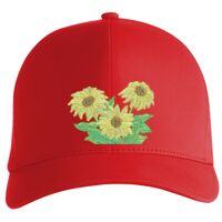 Flexfit Delta cap (180) Vignette