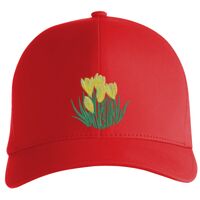 Flexfit Delta cap (180) Vignette