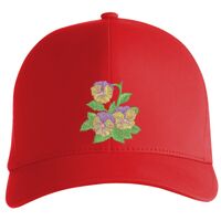 Flexfit Delta cap (180) Vignette