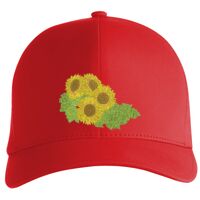 Flexfit Delta cap (180) Vignette