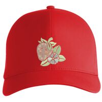 Flexfit Delta cap (180) Vignette
