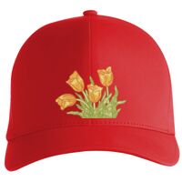 Flexfit Delta cap (180) Vignette
