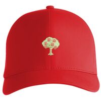 Flexfit Delta cap (180) Vignette