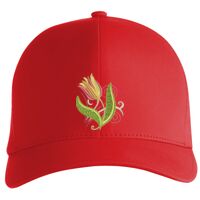 Flexfit Delta cap (180) Vignette