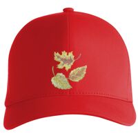 Flexfit Delta cap (180) Vignette