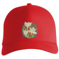 Flexfit Delta cap (180) Vignette