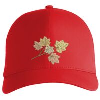 Flexfit Delta cap (180) Vignette