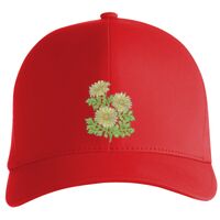 Flexfit Delta cap (180) Vignette