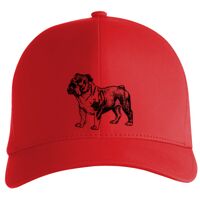 Flexfit Delta cap (180) Vignette