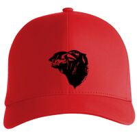 Flexfit Delta cap (180) Vignette