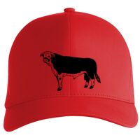 Flexfit Delta cap (180) Vignette