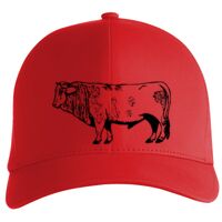 Flexfit Delta cap (180) Vignette