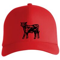 Flexfit Delta cap (180) Vignette