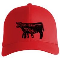 Flexfit Delta cap (180) Vignette