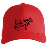 Flexfit Delta cap (180) Vignette