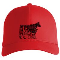 Flexfit Delta cap (180) Vignette