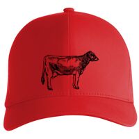 Flexfit Delta cap (180) Vignette