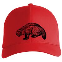 Flexfit Delta cap (180) Vignette