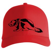 Flexfit Delta cap (180) Vignette