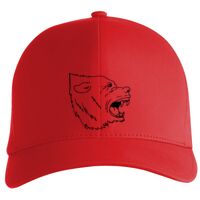 Flexfit Delta cap (180) Vignette