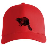 Flexfit Delta cap (180) Vignette