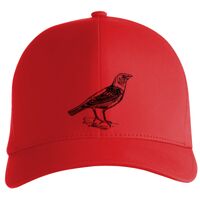 Flexfit Delta cap (180) Vignette