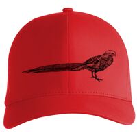 Flexfit Delta cap (180) Vignette