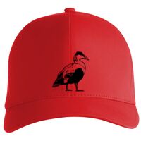 Flexfit Delta cap (180) Vignette