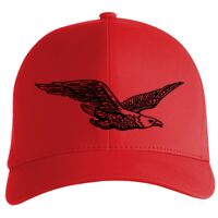 Flexfit Delta cap (180) Vignette