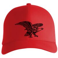 Flexfit Delta cap (180) Vignette