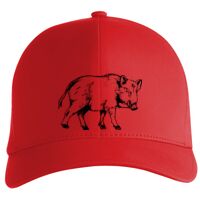 Flexfit Delta cap (180) Vignette