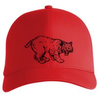 Flexfit Delta cap (180) Vignette