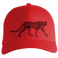 Flexfit Delta cap (180) Vignette