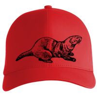 Flexfit Delta cap (180) Vignette