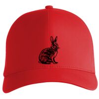 Flexfit Delta cap (180) Vignette