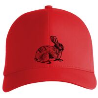 Flexfit Delta cap (180) Vignette