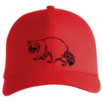 Flexfit Delta cap (180) Vignette