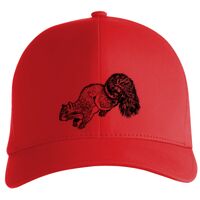 Flexfit Delta cap (180) Vignette