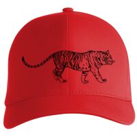 Flexfit Delta cap (180) Vignette