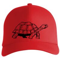 Flexfit Delta cap (180) Vignette