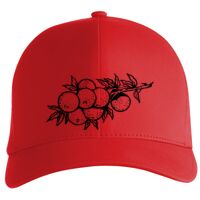 Flexfit Delta cap (180) Vignette