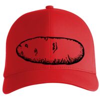 Flexfit Delta cap (180) Vignette