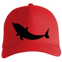 Flexfit Delta cap (180) Vignette