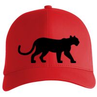 Flexfit Delta cap (180) Vignette